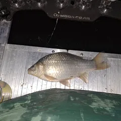 청양 소류지 에서 ~~1일차