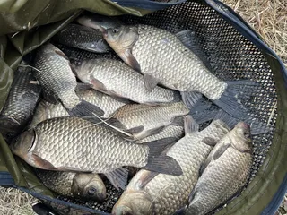 26년 의성 토종터 소류지 첫출조.