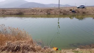 아직도 이른가?