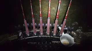 금강 짬낚시에서 대물을 만나다.