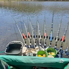 청양 소류지 에서 8일 지나고 있습니다. 증가중ㅋ 