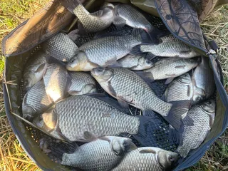 의성 토종터 손맛보고왓습니다