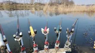 올해는 붕어보기가 어렵내요