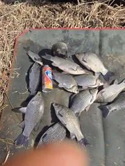 26년  첫번째   밤낚시   다녀왔어요 