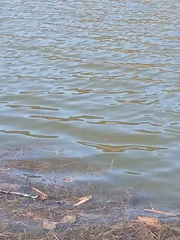 올해 첫 짬 낚시.