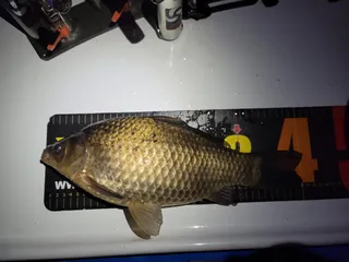 2024년 첫번째 사짜