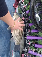 약간의 아쉬움이 남는건 욕심이 과해서 입니다