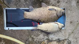 올해 첫 사짜입니다