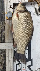 21년 첫 출조에서 만난 반가운 손님