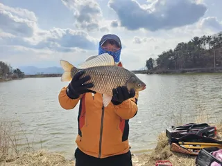 내나 그 시즌 그 자리 그 놈들은 또 있었다