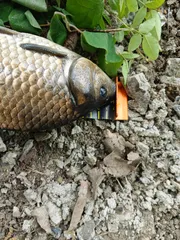 토종터 계곡지 짬 낚시 숫놈 월척