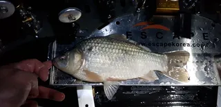 월척 한수 추가 했습니다