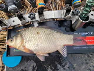 2023년 첫 월척^^