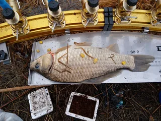 2021년 첫 월이신고합니다