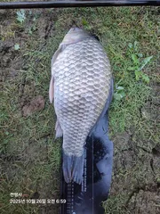 나에게도 행운이