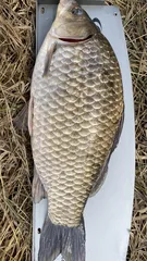 2020년 개인기록 갱신