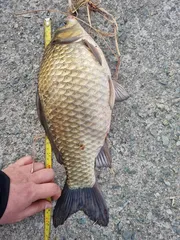 인생 처음 4짜입니다