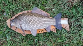 첩첩산속 토종터 청정소류지 48 기록어경신 대물과 독대하다