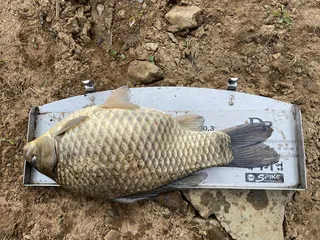 청풍호 노지에서