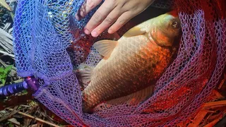 운좋게 한수 했습니다 ^^