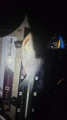 2023 첫 물낚시 첫수가 딱 4짜네요