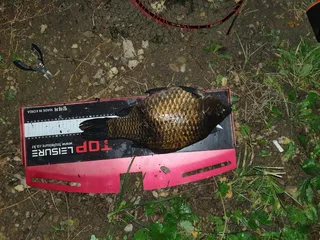 생에 첫 사짜입니다