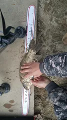 오늘 짬낚 넣자마자