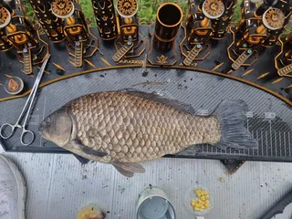 충남보령 소류지에서