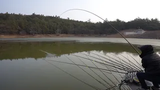 물빠진 토종 계곡지