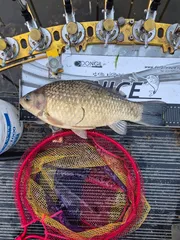 군위에서 41cm 올해첫4짜