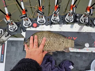 월척가입하고 처음 등록해보네요