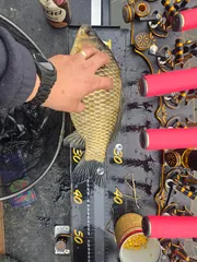 순위에 잠시라도 글한번 올려보고싶어요