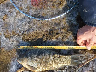 토요일 하루에 월척3수-1