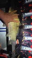 악천후속 한수~