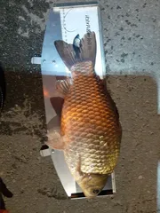 자꾸 더 추워지내요