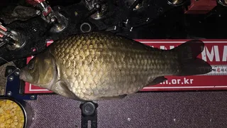 ^^ 처음 올려 봅니다