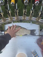 한여름의 4짜붕어