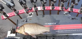 시즌을 마감하며