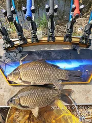 대물한마리 햇습니다