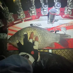 2박3일낚시에 첫입질이자 마지막입질에 나와준 4짜