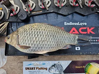 영천 북안면에서~~~