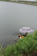 거꾸로 가네요 ㅎㅎ