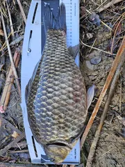 올해 두번째 낚시에 4짜를