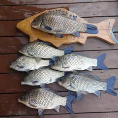 송전지에서 4자 상면