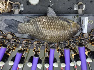 일년만에 기록 갱신입니다