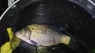 힘겹게 개인기록 경신했습니다