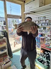 드디어 기록경신 했습니다