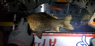 21년도 월척2호3호올립니다