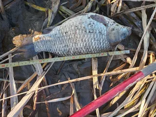 토요일 하루에 월척3수-3