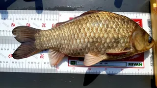 올해 첫 출조에 사짜